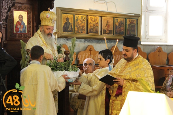 sha3aneensunday3 (1).JPG